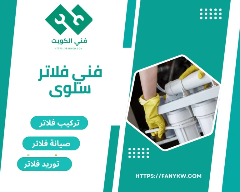 فني فلاتر سلوى